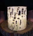 IMG_6268.jpeg