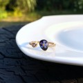 IMG_2480.jpeg