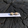 IMG_3384.jpeg