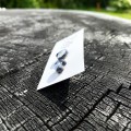 IMG_4495.jpeg