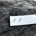 IMG_4499.jpeg