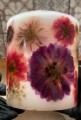 IMG_7524.jpeg