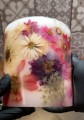 IMG_7519.jpeg
