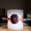 IMG_1160.jpeg