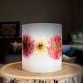 IMG_1161.jpeg
